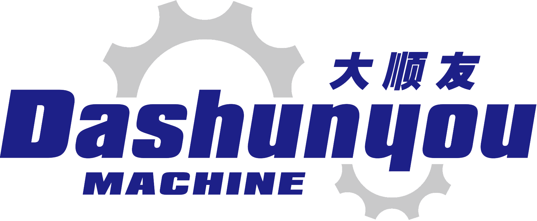Qingdao Dashunyou Technology Co., Ltd. logo